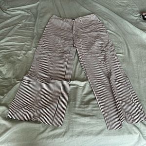 Rolla Cotton Pants